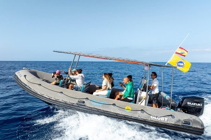 Las familias de ballenas piloto son residentes todo el año del sur de Tenerife. - 4