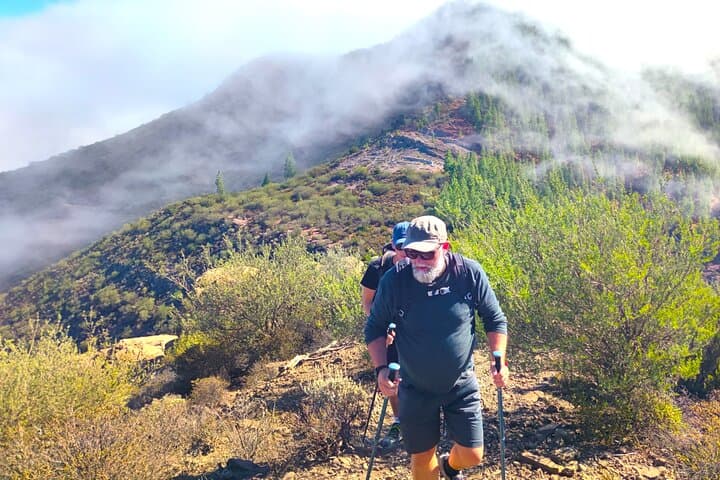 Tenerife Senderismo en Bosque Encantado Sobre Masca con PICKUP - 5