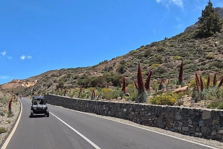 Turismo en Buggy Volcán Teide en Parque Nacional del Teide - 5
