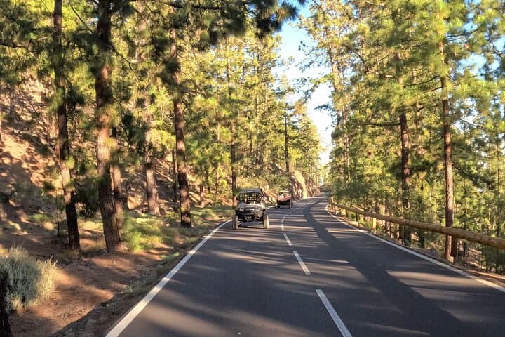 Turismo en Buggy Volcán Teide en Parque Nacional del Teide - 6