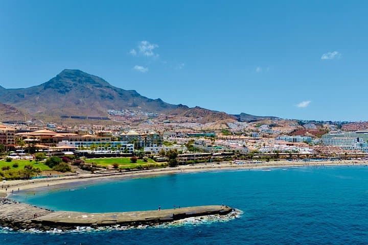 Delfines en acantilados Los Gigantes - 8