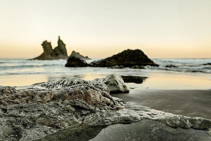 https://media-cdn.tripadvisor.com/media/attractions-splice-spp-720x480/14/bb/eb/4f.jpg - 1