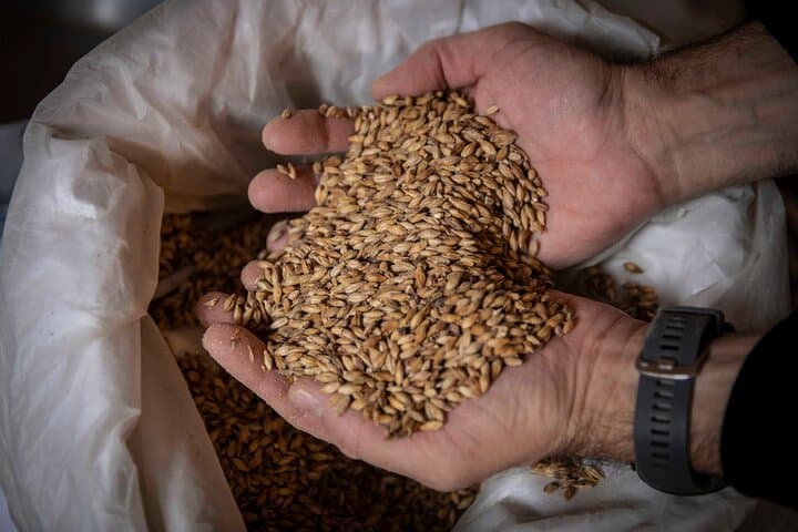 Cata de Cervezas Artesanales con Visita Guiada a la Fábrica - 3