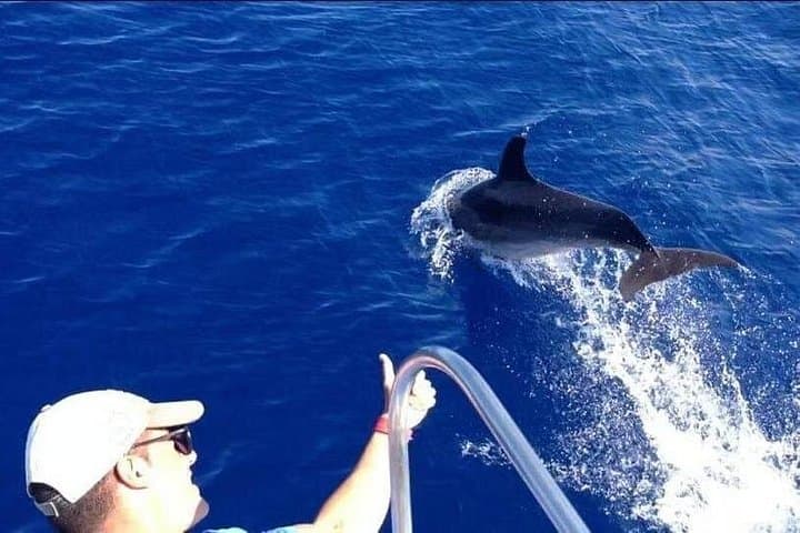 Tenerife Excursión en Ecoyate para Avistamiento de Ballenas - 3