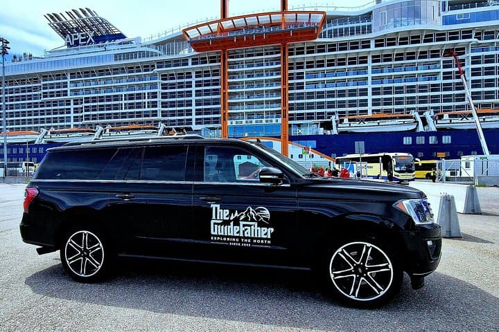 SERVICIO PRIVADO Tranfer LUXE Tenerife Sur - 5