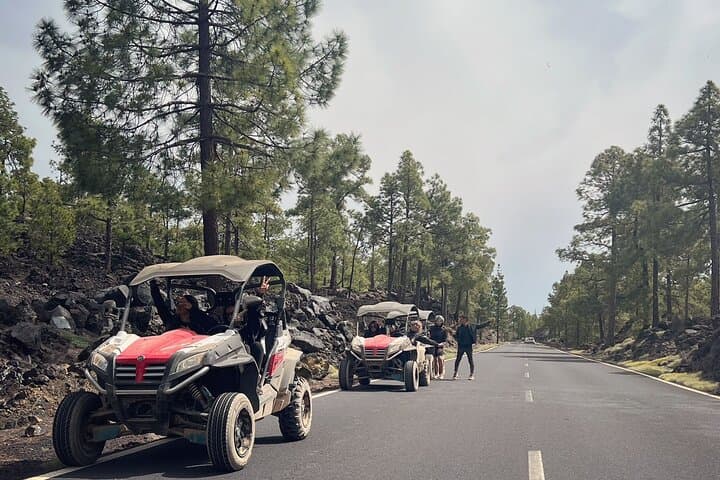 Excursión en Buggy por el Volcán Teide de día y Atardecer en el Parque Nacional del Teide - 6