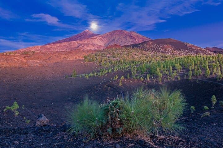 Caminata guiada al atardecer por Tenerife en el Parque Nacional del Teide - 6