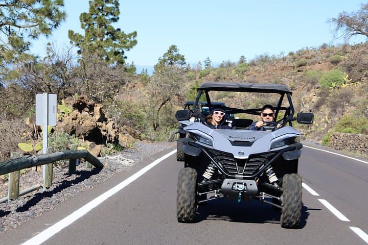 Puerto de la Cruz: Parque Nacional del Teide en Buggy - 1