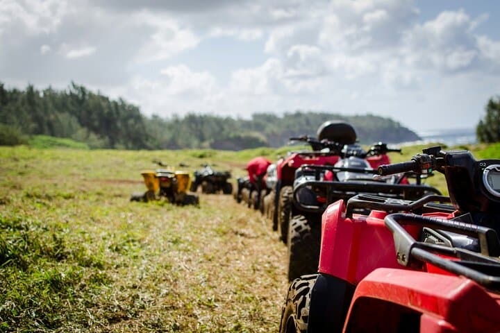 Monta con confianza: quads potentes, guías expertos, vistas inolvidables. - 6