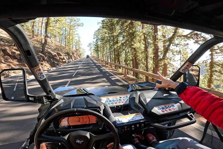Tour Guiado en Buggy al Parque Nacional del Teide - 2