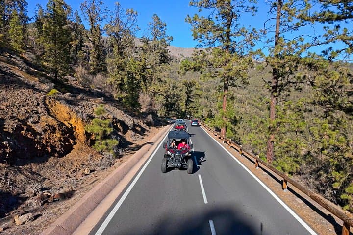 Tour Guiado en Buggy al Parque Nacional del Teide - 5