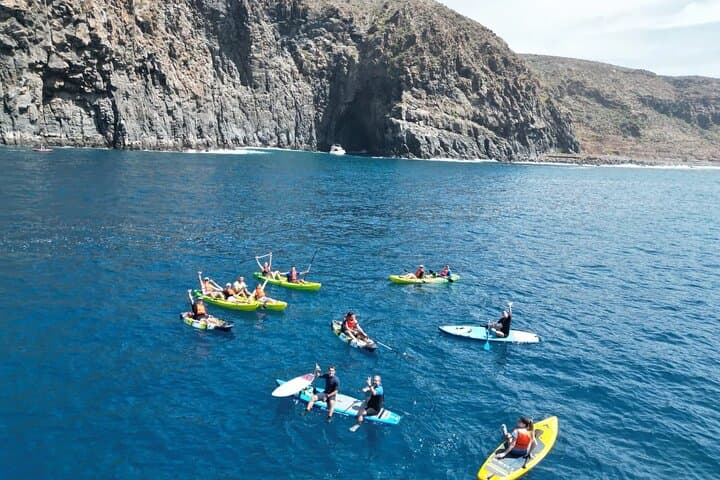 Avistamiento de Tortugas y Delfines de Tour de Kayak y Snorkeling - 6