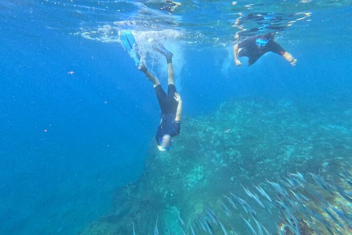 Avistamiento de Tortugas y Delfines de Tour de Kayak y Snorkeling - 7