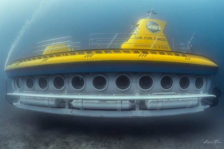 Tour Submarino con Recogida en Hotel Tenerife Sur - 6