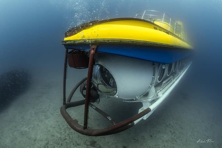 Tour Submarino con Recogida en Hotel Tenerife Sur - 8