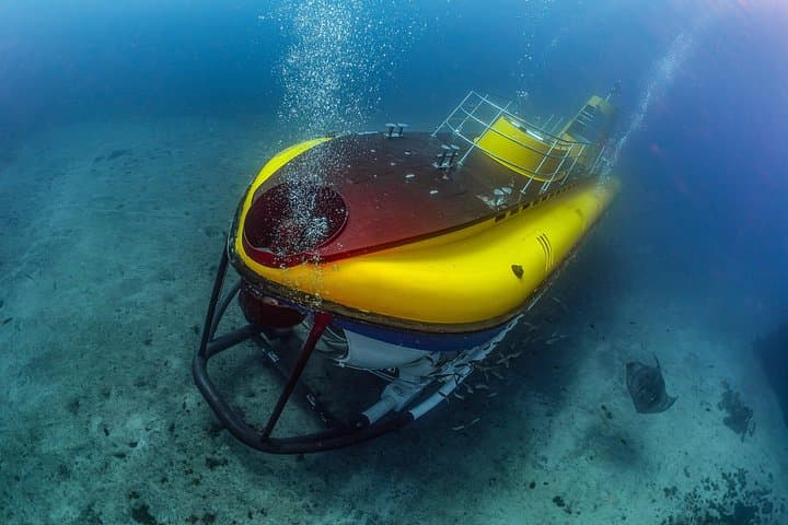 Tour Submarino de Tenerife con Recogida en Los Gigantes - 8