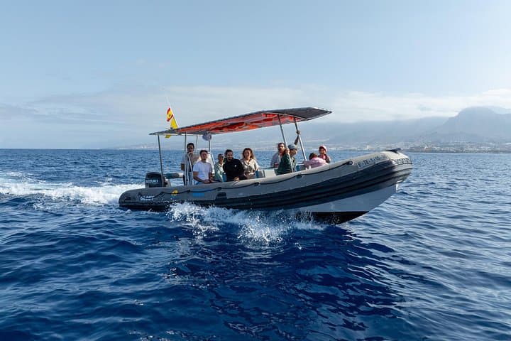 Noticias emocionantes sobre nuestro barco! 
Hemos hecho algunas mejoras:
Nuevo techo para más comodidad, más espacio entre asientos, vistas mejoradas, perfecto para capturar fotos impresionantes!
¡Nos vemos a bordo! - 1