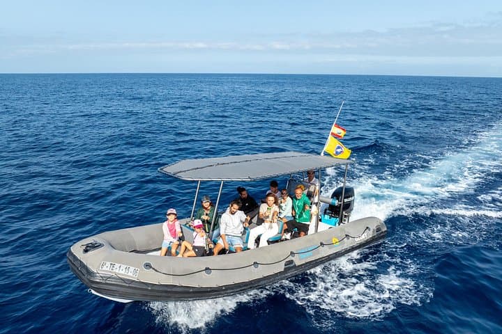 Noticias emocionantes sobre nuestro barco! 
Hemos hecho algunas mejoras:
Nuevo techo para más comodidad, más espacio entre asientos, vistas mejoradas, perfecto para capturar fotos impresionantes!
¡Nos vemos a bordo! - 2