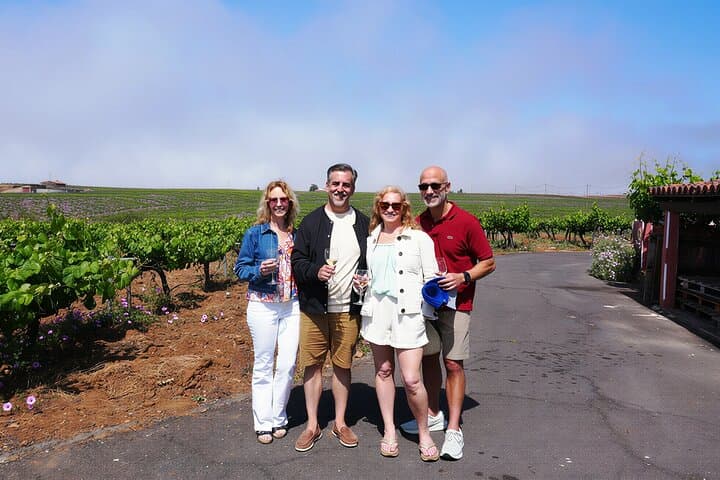 Bodega Tenerife Mountain - 1