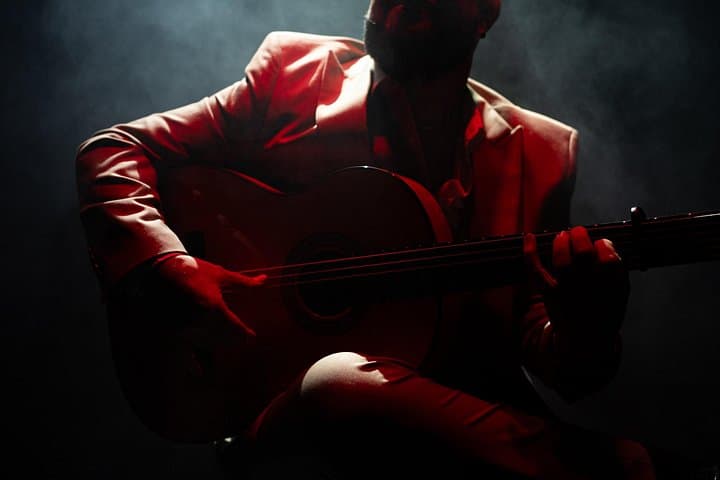 Olé Flamenco Show por Fran Chafino - 2