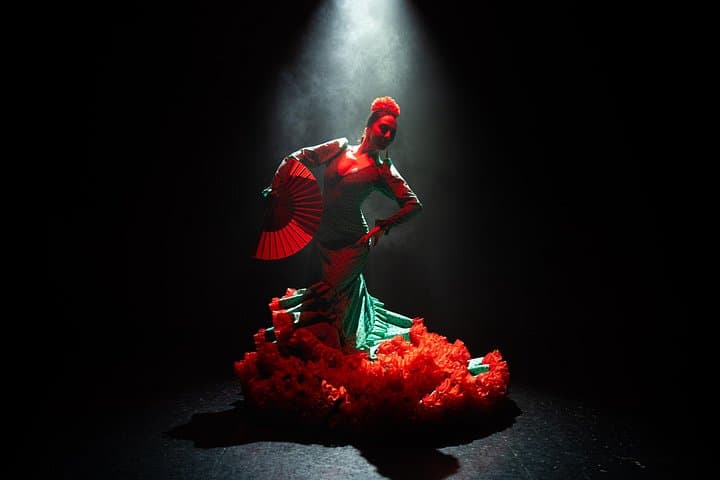 Olé Flamenco Show por Fran Chafino - 4
