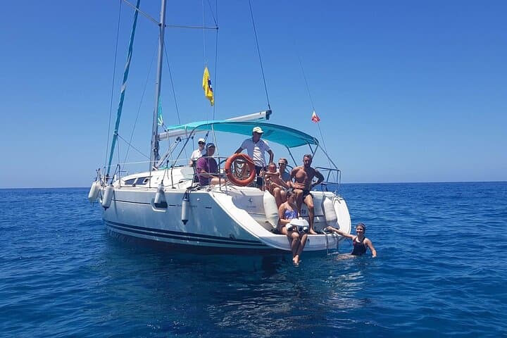 Chárter Privado Avistamiento de ballenas y delfines Max 11 pax - 3