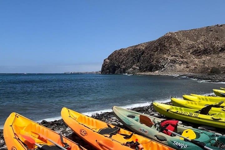 grupos_palya_arenita_palmmar - 3