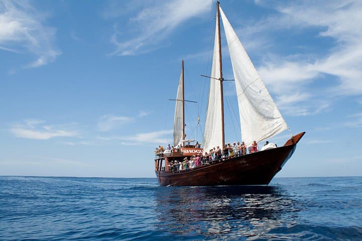 Observación respetuosa de ballenas en un barco de madera y nadar - 6