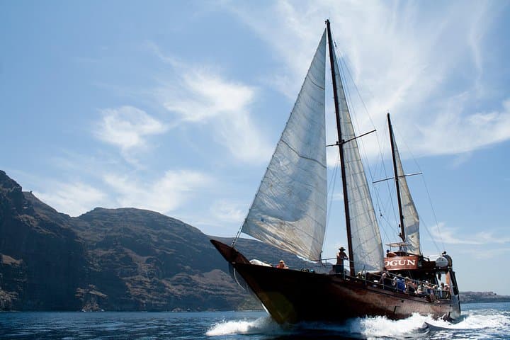 Observación respetuosa de ballenas en un barco de madera y nadar - 3