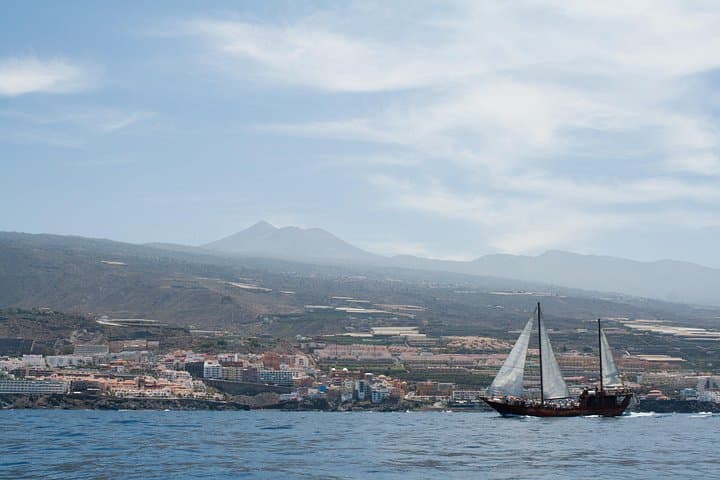 Tenerife: Ballenas y Delfines con Comida y Baño en Los Gigantes - 5