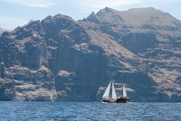 Safari de ballenas hasta Los Gigantes con recogida desde Norte - 3