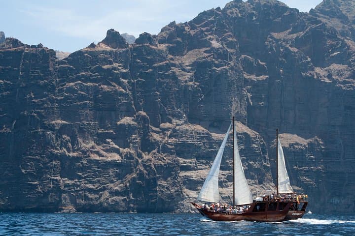 Safari de ballenas hasta Los Gigantes con recogida desde Norte - 8