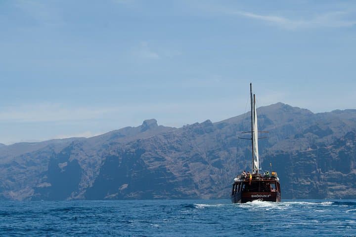 Safari de ballenas hasta Los Gigantes con recogida desde Norte - 6