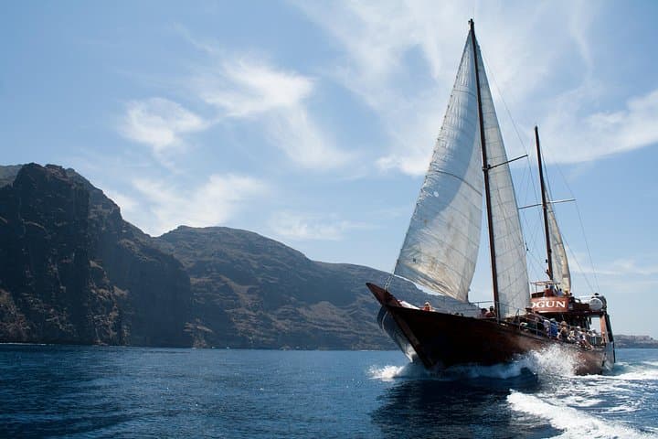 Safari de ballenas hasta Los Gigantes con recogida desde Norte - 4
