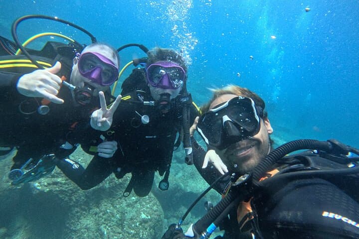 Buceo con tortugas Sitio de buceo en la pared de Palm Mar Tenerife - 3