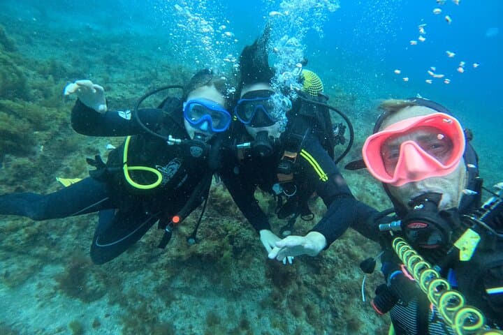 Buceo con tortugas Sitio de buceo en la pared de Palm Mar Tenerife - 6