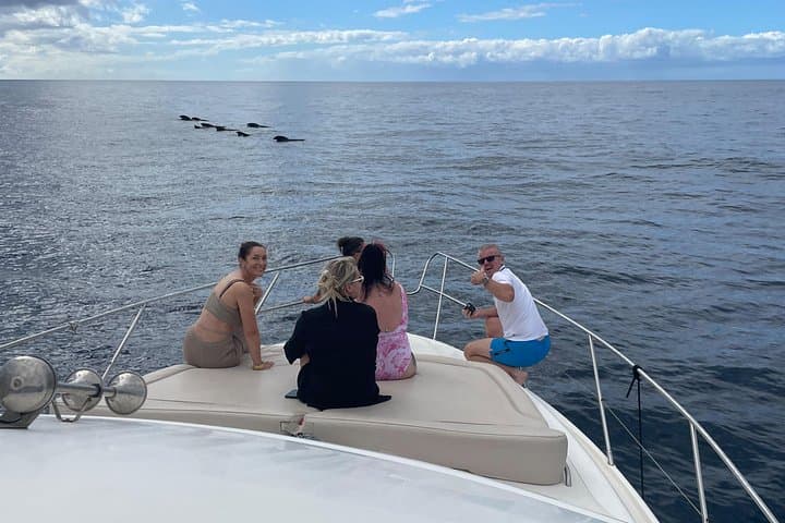 Excursión Ballenas y Delfines en Yate de Lujo en Islas Canarias - 3