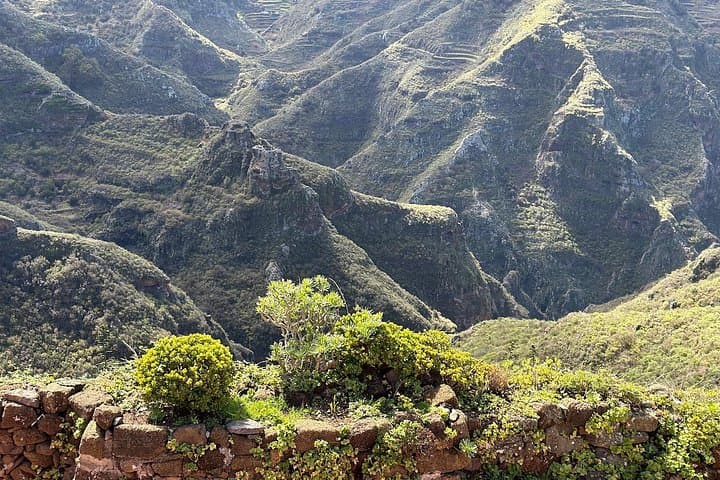 Lugar icónico de Anaga : conocido por los lugareños como Túnel de Pico del Inglés, y por los turistas como el "Túnel de la Felicidad." - 5