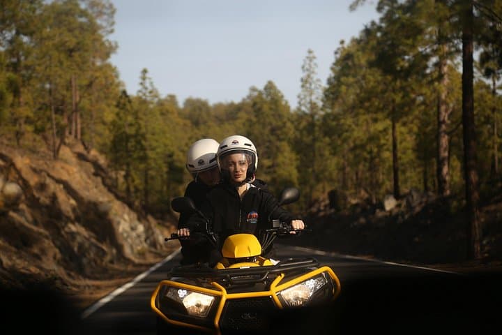 Puerto de la Cruz : Tour volcánico del Teide Quad Parque Nacional del Teide - 8