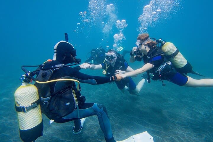 Grupo de buzos con peces
Buceo principiante en Tenerife — tu primera aventura submarina rodeado de peces de colores en aguas cristalinas. - 3