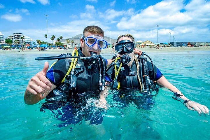 Grupo de buzos con peces
Buceo principiante en Tenerife — tu primera aventura submarina rodeado de peces de colores en aguas cristalinas. - 4