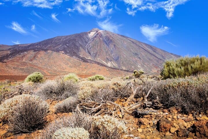 Parque Nacional del Teide Paisajes y vida silvestre del volcán Safari Ride - 3