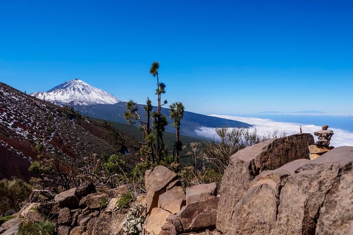 Parque Nacional del Teide Paisajes y vida silvestre del volcán Safari Ride - 5