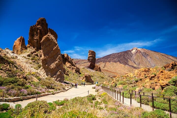 Parque Nacional del Teide Paisajes y vida silvestre del volcán Safari Ride - 1