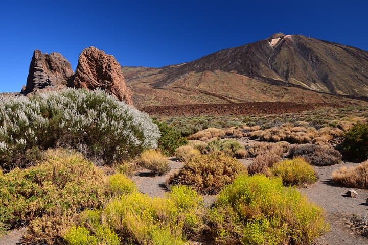 Parque Nacional del Teide Paisajes y vida silvestre del volcán Safari Ride - 7