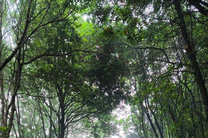 https://media-cdn.tripadvisor.com/media/attractions-splice-spp-720x480/15/68/81/37.jpg - 8