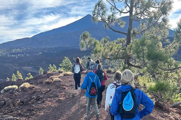 Caminata volcánica y cueva de lava en el Parque Nacional del Teide. Recogida gratuita. - 4