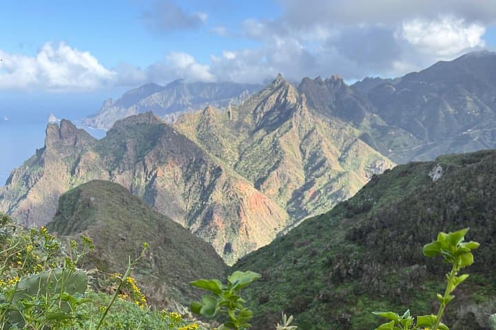 Espectaculares acantilados oceánicos del norte de Tenerife cerca del Roque de Taborno, rodeados de exuberantes paisajes de Anaga. - 4