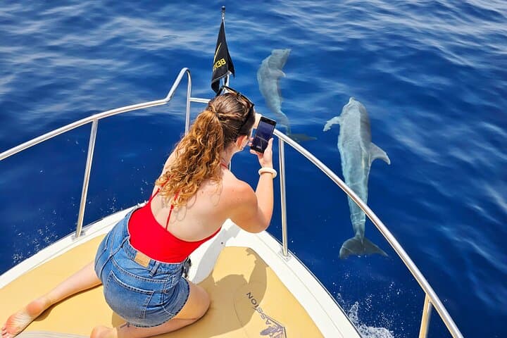 Rorcuales que visitan nuestro Santuario de ballenas - 3