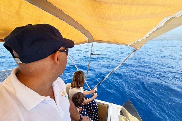 Rorcuales que visitan nuestro Santuario de ballenas - 6